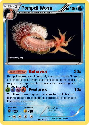 Pokemon Pompeii Worm