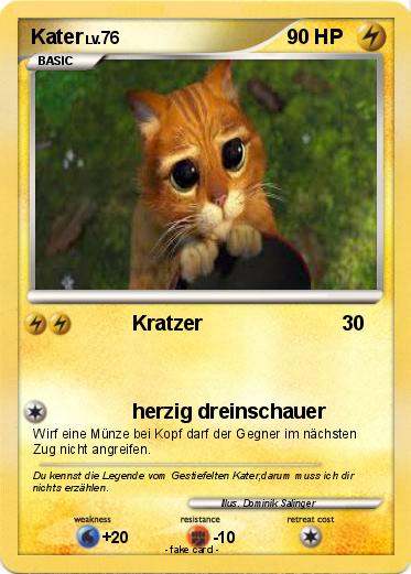 Pokemon Kater