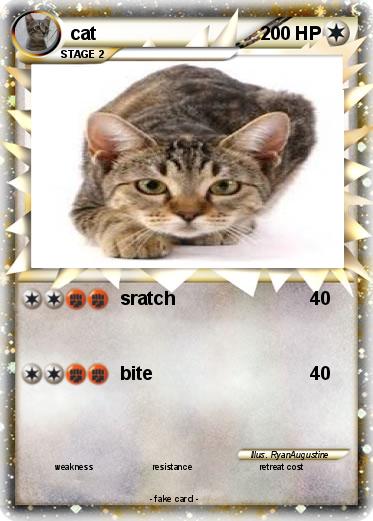 Pokemon cat
