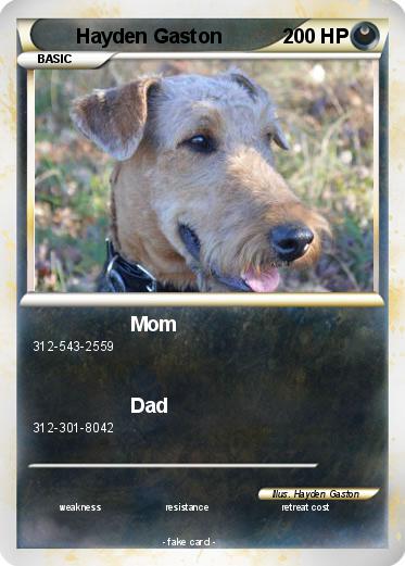 Pokemon Hayden Gaston