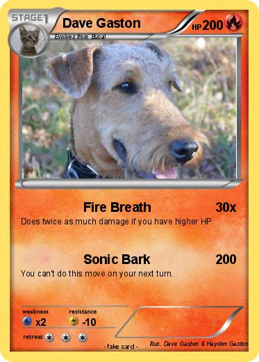 Pokemon Dave Gaston