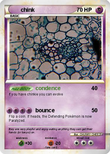 Pokemon chink