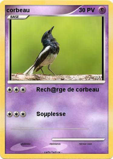 Pokemon corbeau