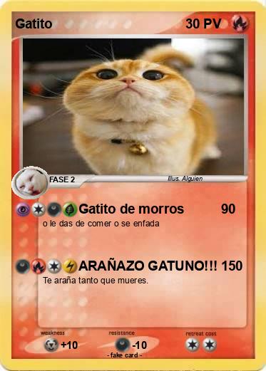 Pokemon Gatito