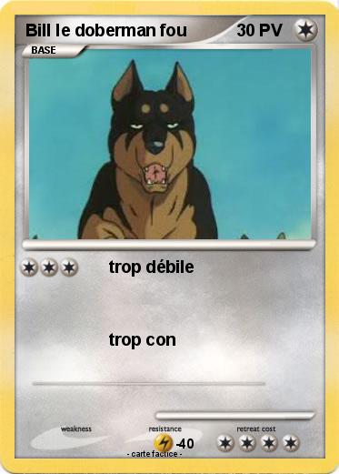 Pokemon Bill le doberman fou