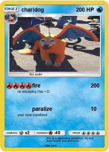 Pokemon charidog