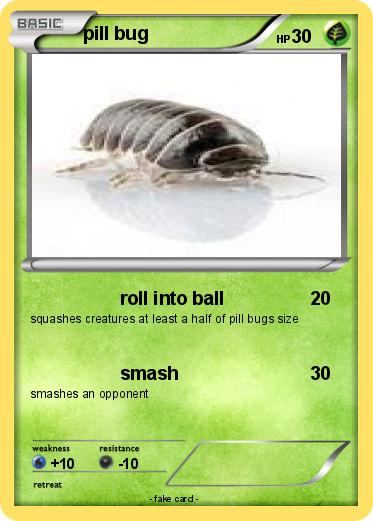 Pokemon pill bug