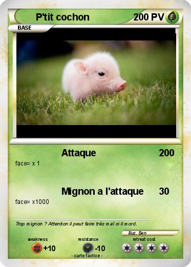 Pokemon P'tit cochon