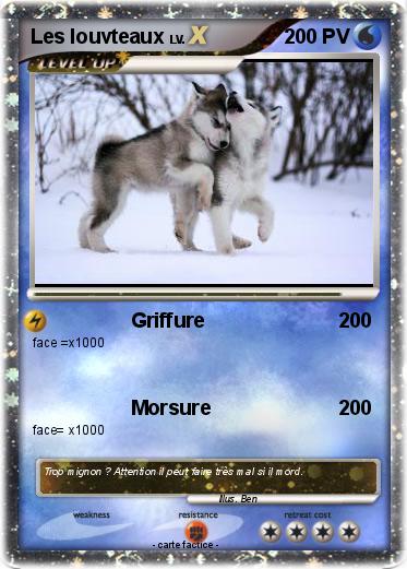 Pokemon Les louvteaux