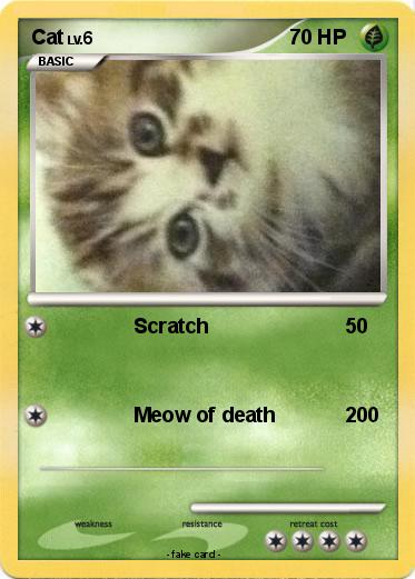 Pokemon Cat