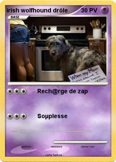Pokemon irish wolfhound drôle