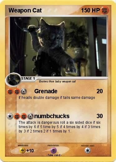 Pokemon Weapon Cat