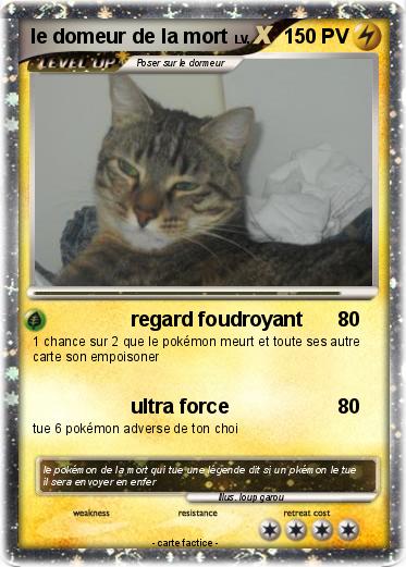 Pokemon le domeur de la mort