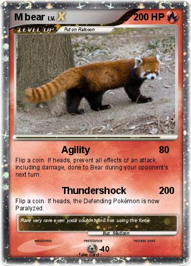 Pokemon M bear