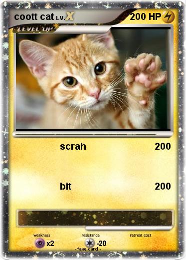 Pokemon coott cat