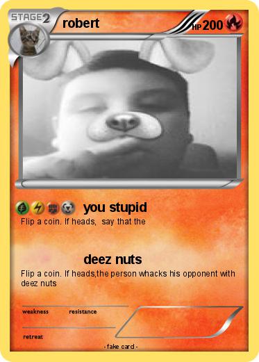 Pokemon robert