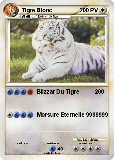 Pokemon Tigre Blonc
