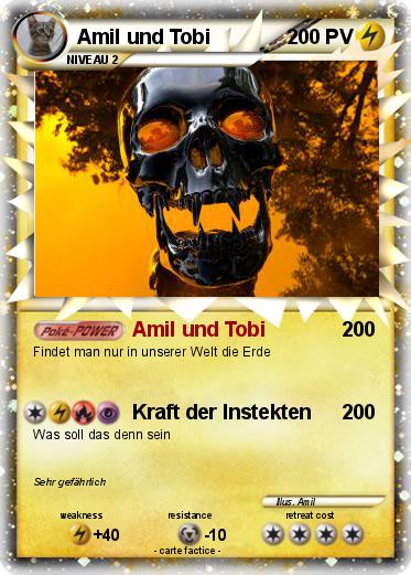 Pokemon Amil und Tobi