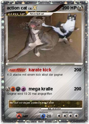 Pokemon action cat