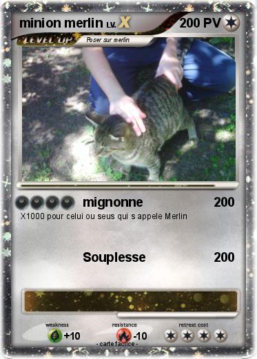 Pokemon minion merlin