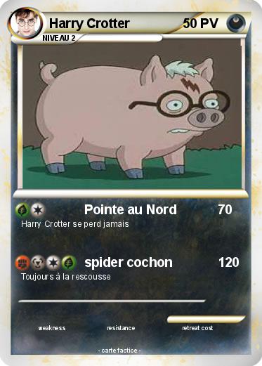 Pokemon Harry Crotter