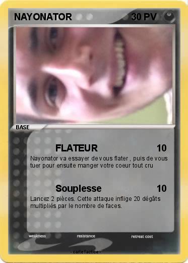 Pokemon NAYONATOR