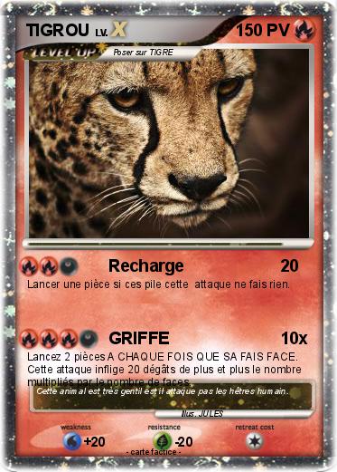 Pokemon TIGROU