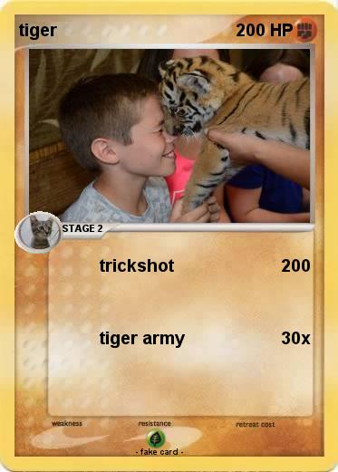 Pokemon tiger