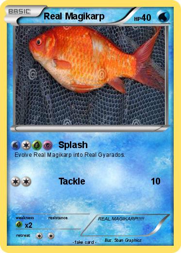 Pokemon Real Magikarp