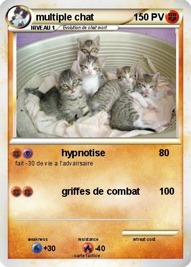 Pokemon multiple chat