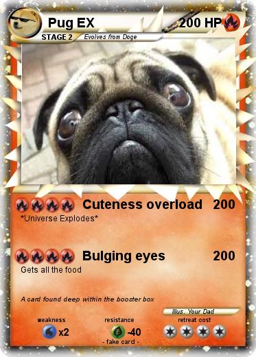 Pokemon Pug EX
