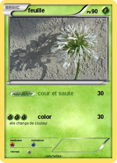 Pokemon feuille