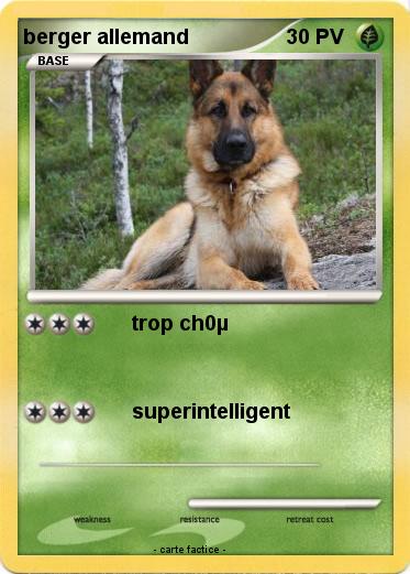 Pokemon berger allemand