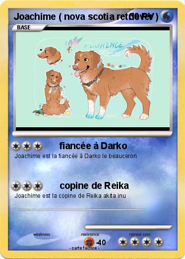 Pokemon Joachime ( nova scotia retriever )