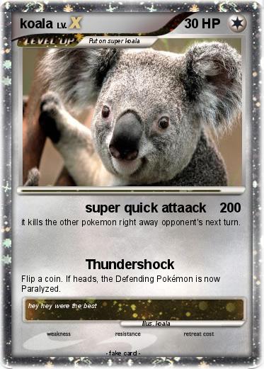 Pokemon koala