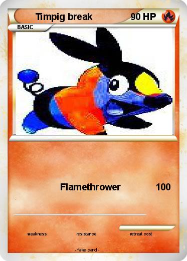 Pokemon Timpig break