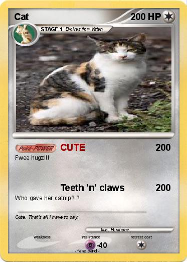 Pokemon Cat