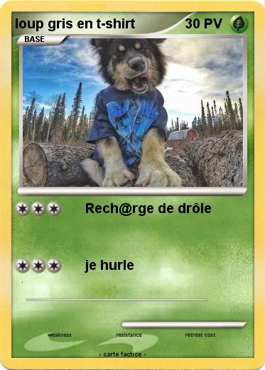Pokemon loup gris en t-shirt
