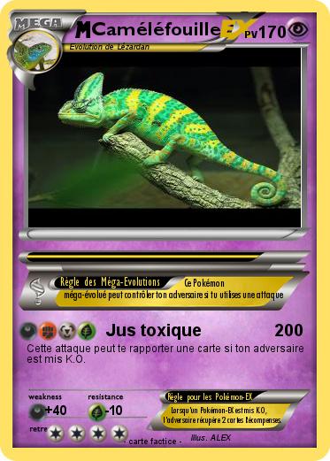 Pokemon Caméléfouille