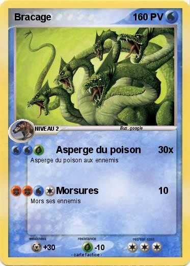 Pokemon Bracage