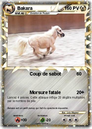 Pokemon Bakara