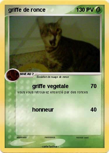 Pokemon griffe de ronce