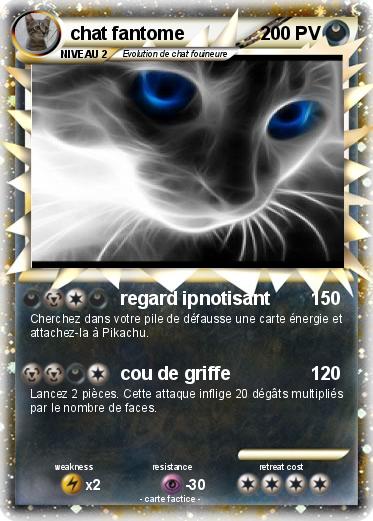 Pokemon chat fantome