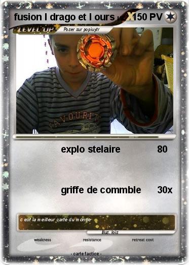 Pokemon fusion l drago et l ours