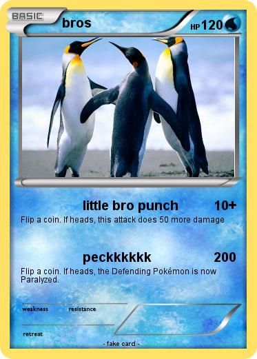 Pokemon bros