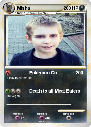 Pokemon Misha