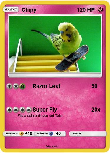 Pokemon Chipy