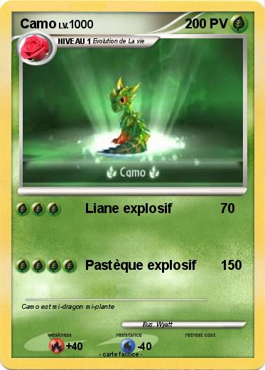 Pokemon Camo