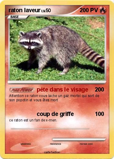 Pokemon raton laveur
