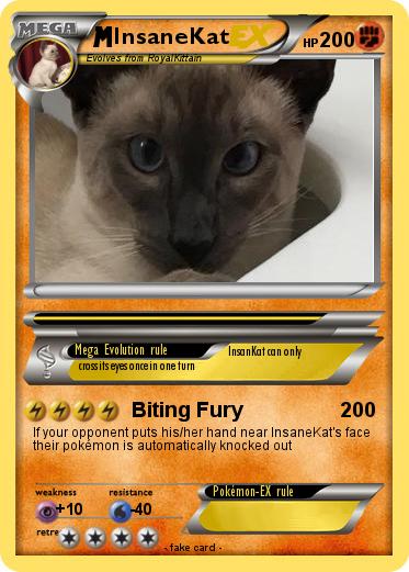 Pokemon InsaneKat